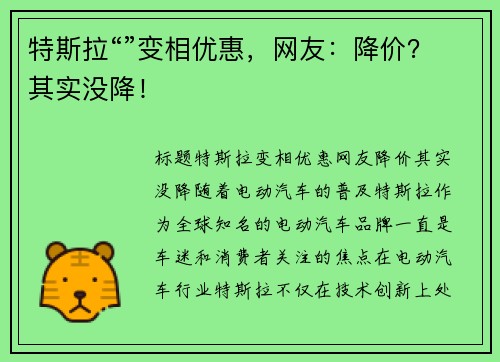 特斯拉“”变相优惠，网友：降价？其实没降！